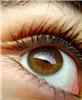 Biomedical researchers make...