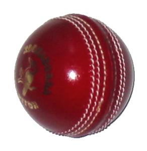 Cricketer announces decision to become physio