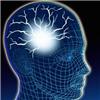 Biomedical expert says brain ...
