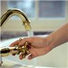 Hygiene concerns raised in...