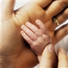 Biomedical research points to...