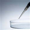 Biomedical scientists ...