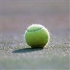 Tennis ace achieves success in...