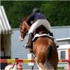Physiotherapists help rider...