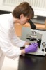 Biomedics discover potential...