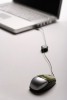 E-tool announced for spinal...