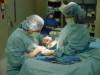 Kidney success 'down to genes,...