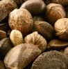 Eating nuts 'improves...