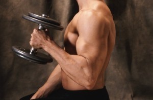 Tweaking a gene 'could strengthen muscles'