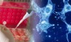 Researchers develop 'phantoms'...