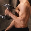 Proteins that build muscle...