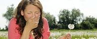 New approach to tackle hayfever
